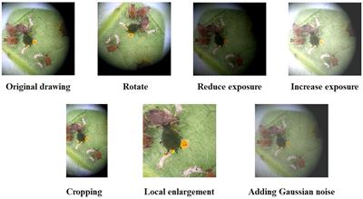 Pest recognition in microstates state: an improvement of YOLOv7 based on Spatial and Channel Reconstruction Convolution for feature redundancy and vision transformer with Bi-Level Routing Attention